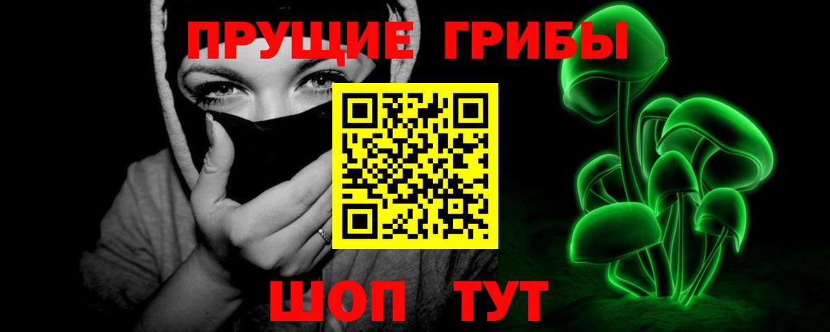 Псилоцибиновые грибы Psilocybine cubensis Ленинск-Кузнецкий